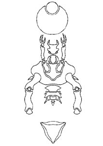 Daedalus Encounter: Glyph 10