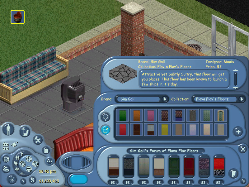 Sims Online UI