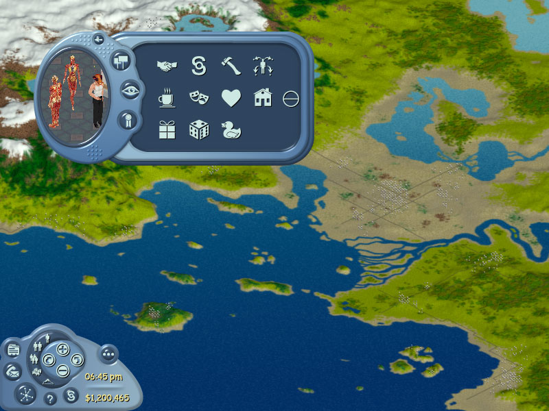 Sims Online UI